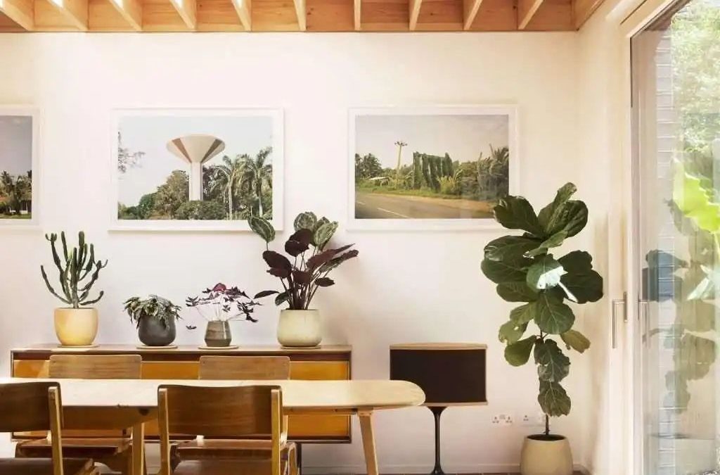 Reformas en oficinas: cómo mejorar productividad y bienestar